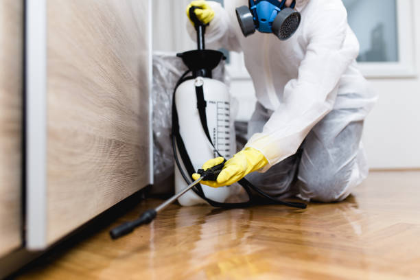 Best Bed Bug Extermination  in Fosston, MN