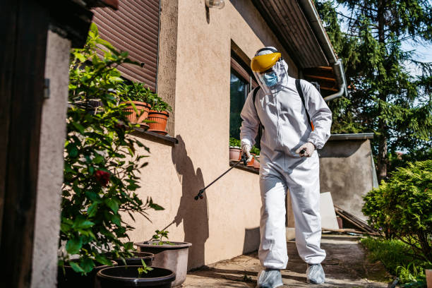 Best Pest Control Near Me  in Fosston, MN