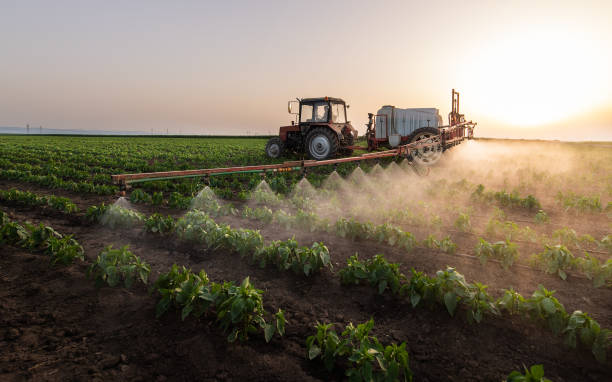 Reliable Fosston, MN Pest Control Solutions