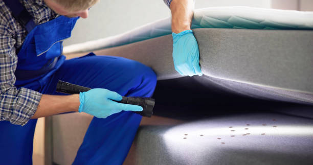 Best Pest Control for Businesses  in Fosston, MN