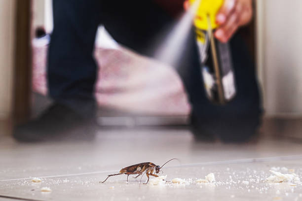 Best Local Pest Control Services  in Fosston, MN